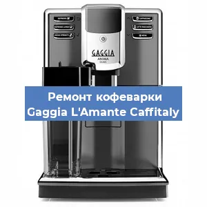 Замена фильтра на кофемашине Gaggia L'Amante Caffitaly в Ижевске